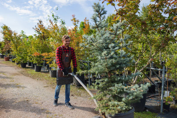 Leaf Removal in Colfax, WA